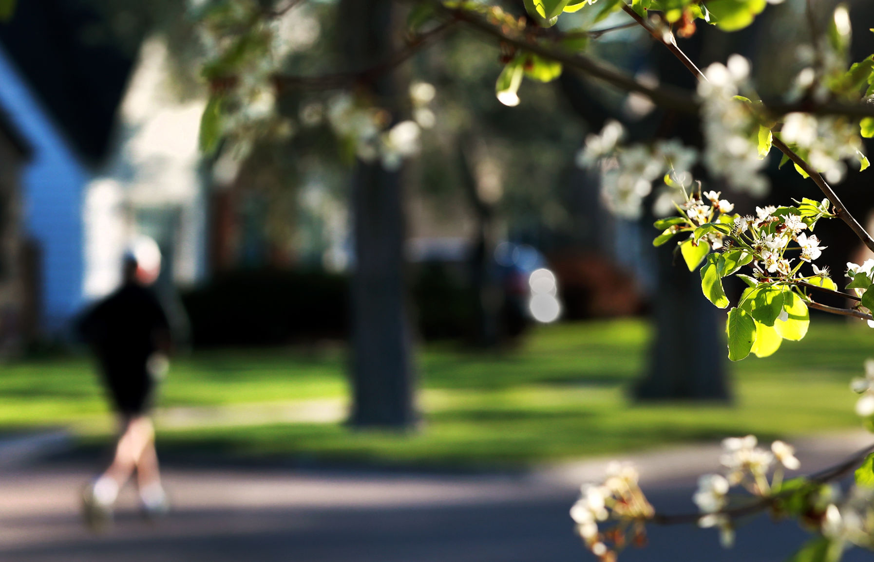 050120_SpringColors001_bjs.JPG